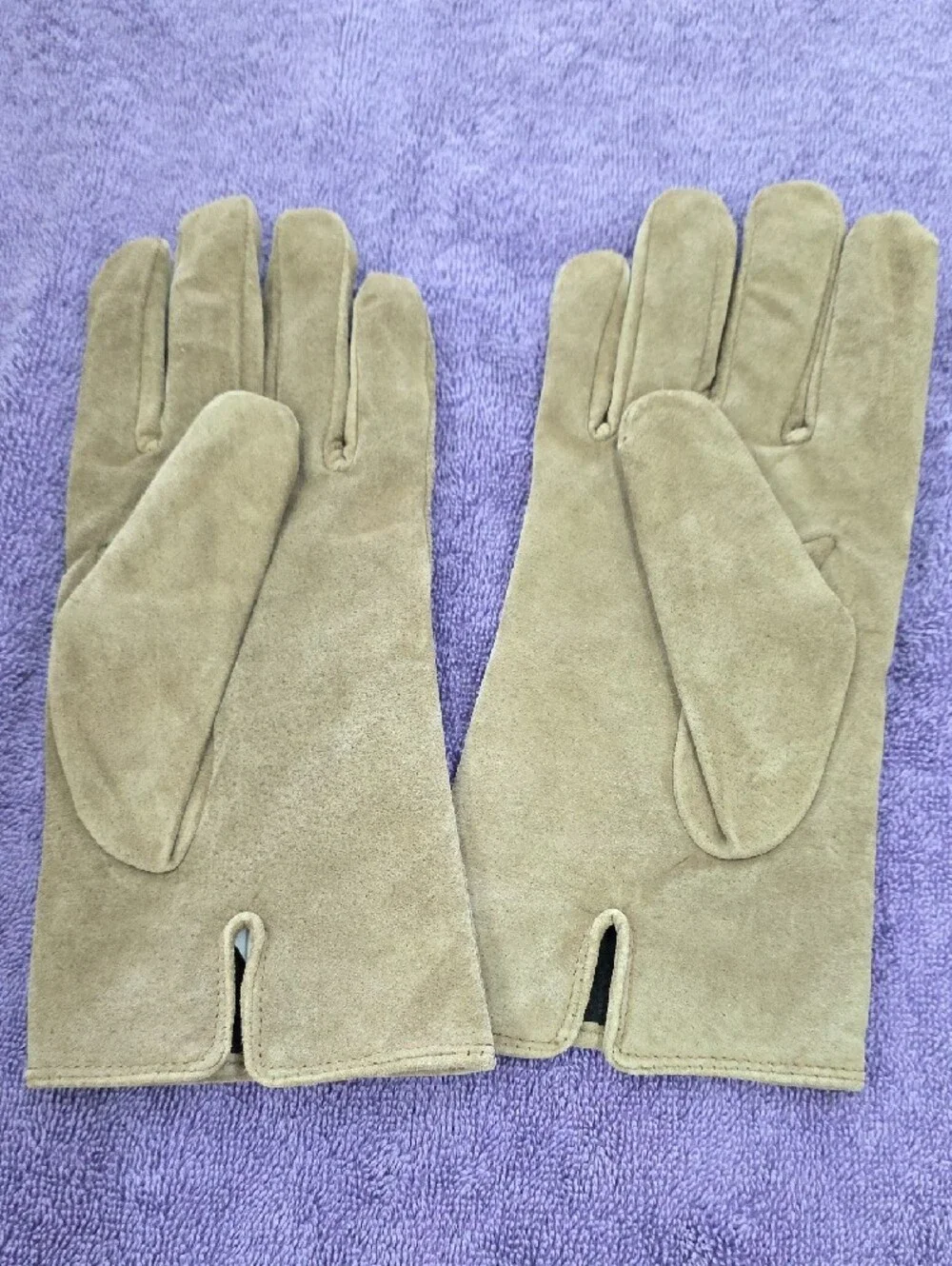 Aris Women's Suede Gloves in Taupe